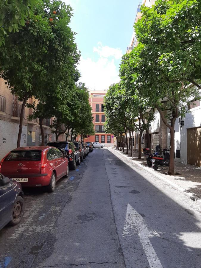 Epicenter Lujoso Apto Parking Gratis Perfecta Ubicacion Sevilla Eksteriør bilde